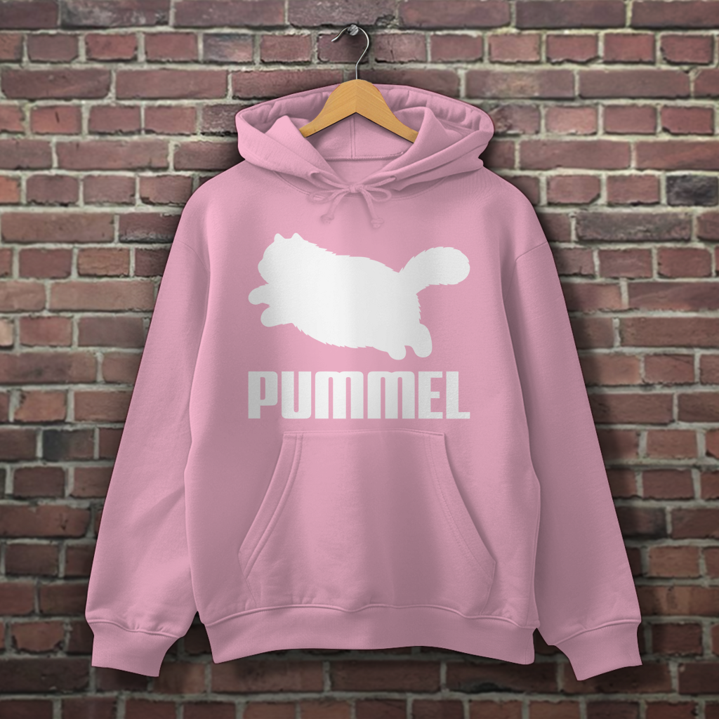 Hoodie "PUMMEL"