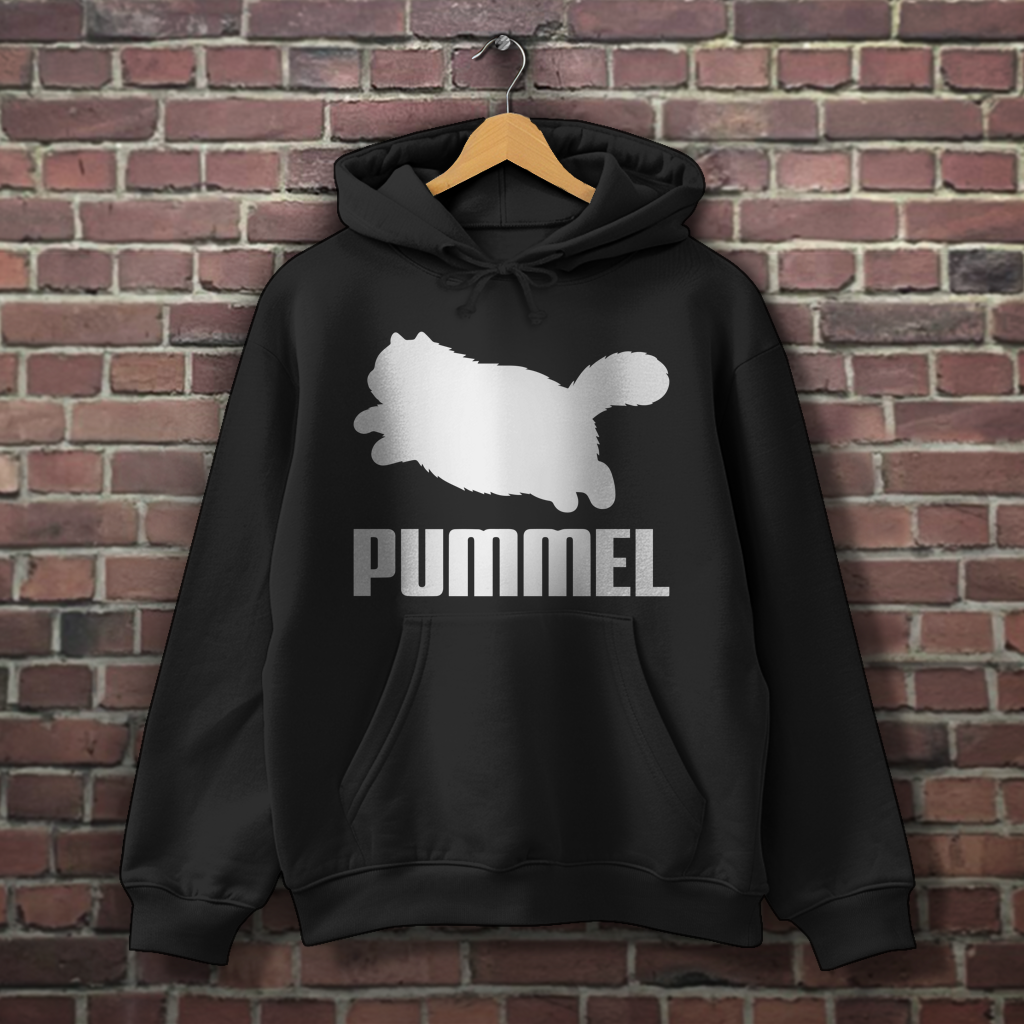 Hoodie "PUMMEL"