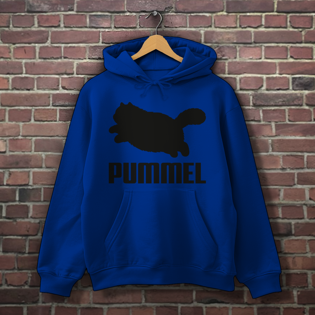 Hoodie "PUMMEL"